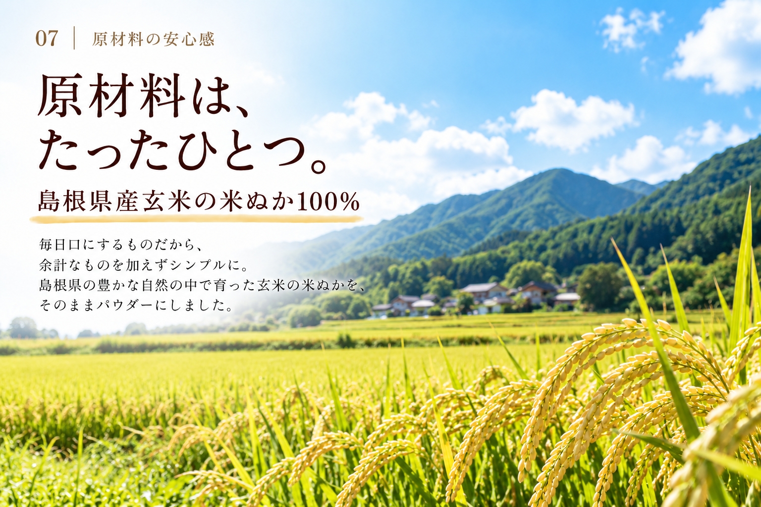 島根県産玄米の米ぬか