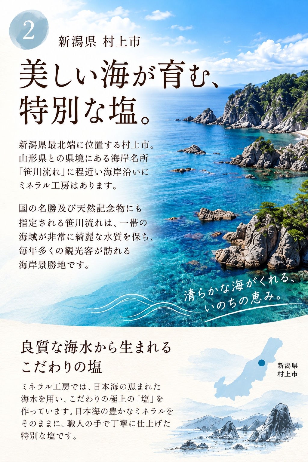 白いダイヤの生まれる海
